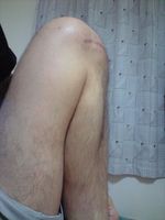 ４ヶ月目〜♪