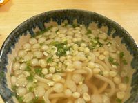 買ってきたどんぶりでうどん