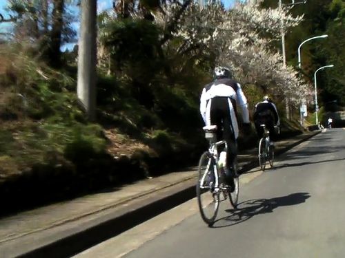 小沢峠の登り