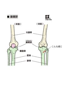 骨折箇所