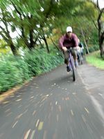 ゆっくりペース
