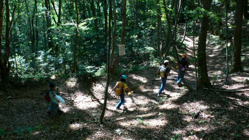 里山トレッキング