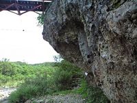 傾城森の壁