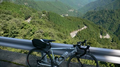 登ってきた道〜