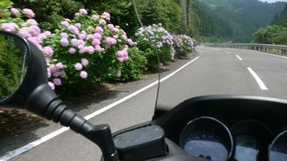あじさいロード