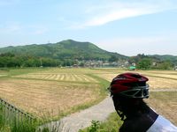 巾着田から日和田山を望む