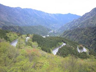 坂○鹿のみなさまへ