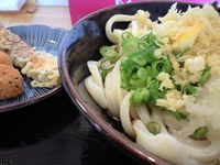 手打ちうどん　菊乃家